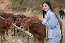 Á hậu Phương Nhi xinh đẹp rạng ngời khi đi trao bò cho người dân