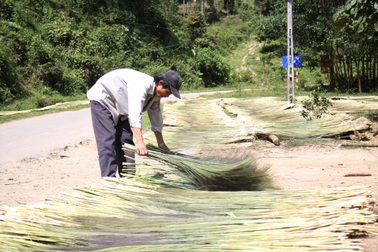 Quảng Ngãi: Mùa "lộc rừng" kém vui