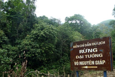 Khu rừng thiêng mang tên Đại tướng Võ Nguyên Giáp