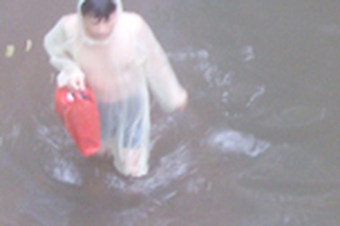 Dịch tả, thương hàn dễ bùng phát ở Hà Nội