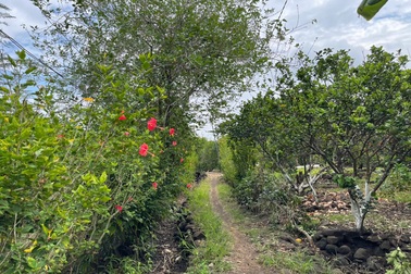 Chi tiền tỷ "bỏ phố về quê": Chưa kịp hưởng thành quả đã vội rao bán gấp