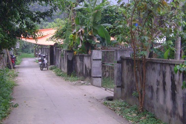 Cụ bà độc thân bị giết hại cướp tài sản