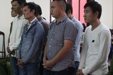 Xét xử băng nhóm bảo kê, "trấn lột" gỗ “khét tiếng”