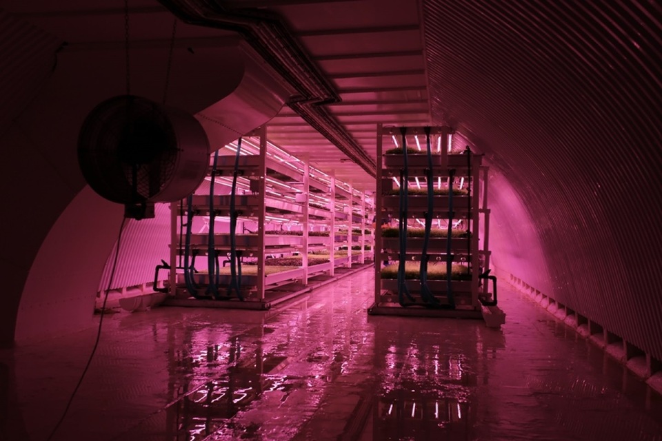 Kinh ngạc nông trại hiện đại ở độ sâu 33m, trồng rau không cần đất - 2