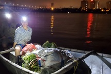 Dậy từ 2 giờ hái rau bí, "bà trùm"kiếm tiền triệu nơi bãi giữa sông Hồng