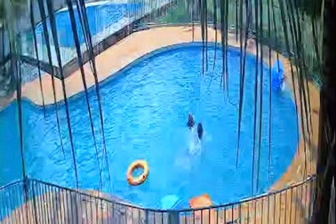 Bé gái 7 tuổi đuối nước thương tâm tại hồ bơi ở Đồng Nai