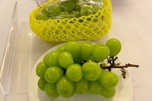 Doanh nghiệp Hàn Quốc muốn bán nhiều nho, táo, ớt… ở Việt Nam