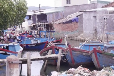 Cực hình suốt 10 năm ngửi mùi hôi thối từ bãi rác