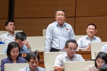 Đại biểu: Nếu được làm lại thì gói VAT nên giảm đồng loạt 8% sẽ tốt hơn