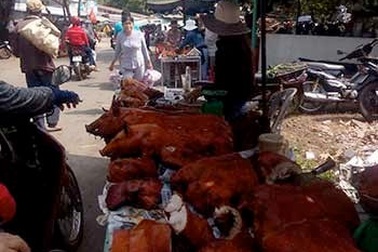 Hãi hùng với “lộc sơn thần”!