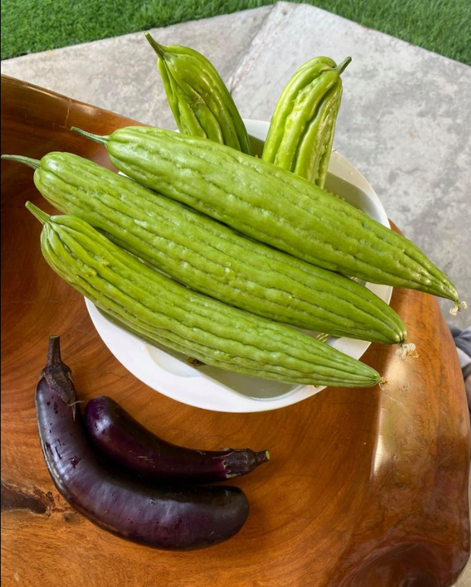 Chiêm ngưỡng nhà vườn 1.000m2 của danh ca Hương Lan và chồng kĩ sư tại Mỹ - 11 Chiêm ngưỡng nhà vườn 1.000m2 của danh ca Hương Lan và chồng kĩ sư tại Mỹ - 11