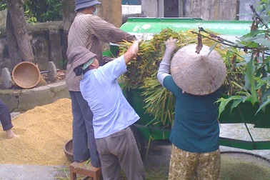 Chi gần 26 nghìn tỷ nhằm dạy nghề cho nông dân