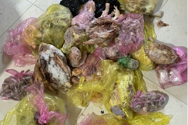 Hà Tĩnh: Bắt lượng lớn thực phẩm "bẩn" trên đường ra Hà Nội tiêu thụ