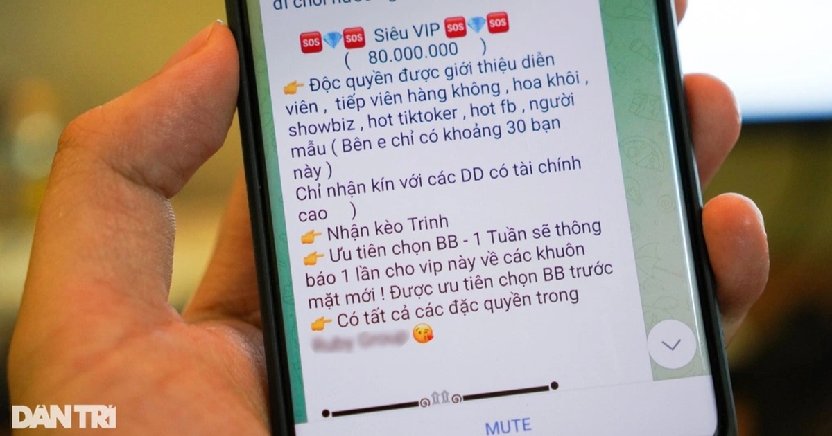 dantri.com.vn