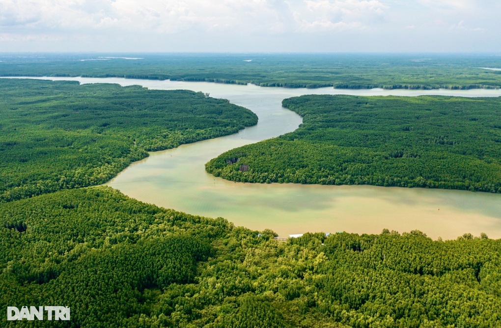 TPHCM đề cử rừng Cần Giờ thành khu Ramsar - 2 TPHCM đề cử rừng Cần Giờ thành khu Ramsar - 2