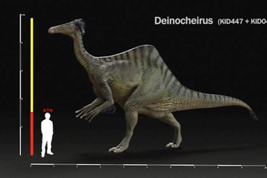 Khám phá loài khủng long có hình dáng “kì lạ”