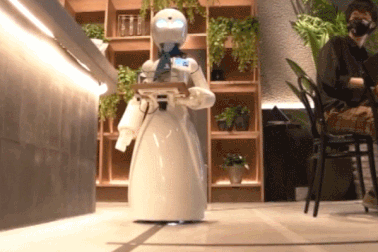 Quán cà phê có dàn "nhân viên" là robot ở Nhật Bản