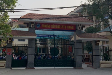 Nữ giáo viên tham gia đường dây làm giả con dấu, tài liệu