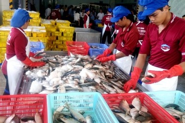 Thực phẩm tươi ngon xuất khẩu, loại kém chất lượng... dân ăn