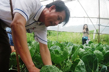 Tỉ phú rau sạch