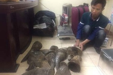 Vén màn bí mật của những “đại gia” cao hổ