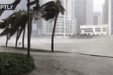 Mỹ: Phố biến thành "biển nước" giữa tâm bão lịch sử