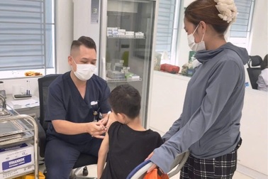 Vuốt ve chó nhà hàng xóm, bé hơn 2 tuổi bị cắn nhiều nhát vào cổ