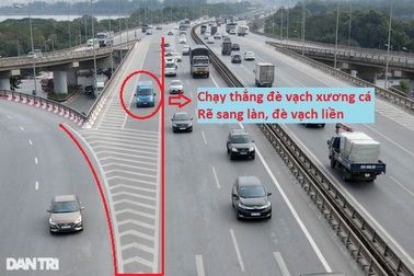 Phát hiện thêm nhiều vạch xương cá ở Hà Nội gây bức xúc người đi đường