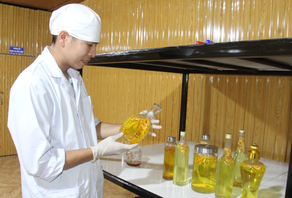 Chàng trai miền núi bỏ nghề điện nuôi thành công đông trùng hạ thảo - 3