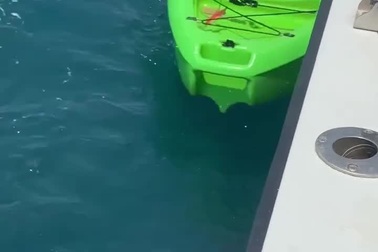 Bé trai lấy thuyền câu mực một mình và ngủ quên, trôi dạt 24 giờ trên biển