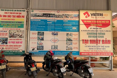 Bài 3: Gắn kết doanh nghiệp với phiên giao dịch việc làm, khó hay dễ?