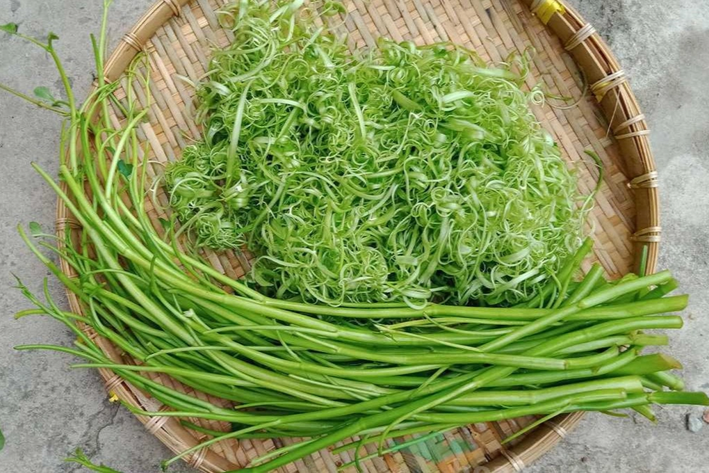Cách ăn rau muống khiến sán lúc nhúc trong gan người đàn ông - 3 Cách ăn rau muống khiến sán lúc nhúc trong gan người đàn ông - 3