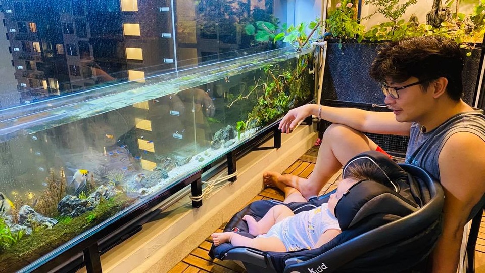 Ông bố ở Sài Gòn biến ban công thành vườn thu nhỏ với hồ cá, cây xanh - 11 Ông bố ở Sài Gòn biến ban công thành vườn thu nhỏ với hồ cá, cây xanh - 11
