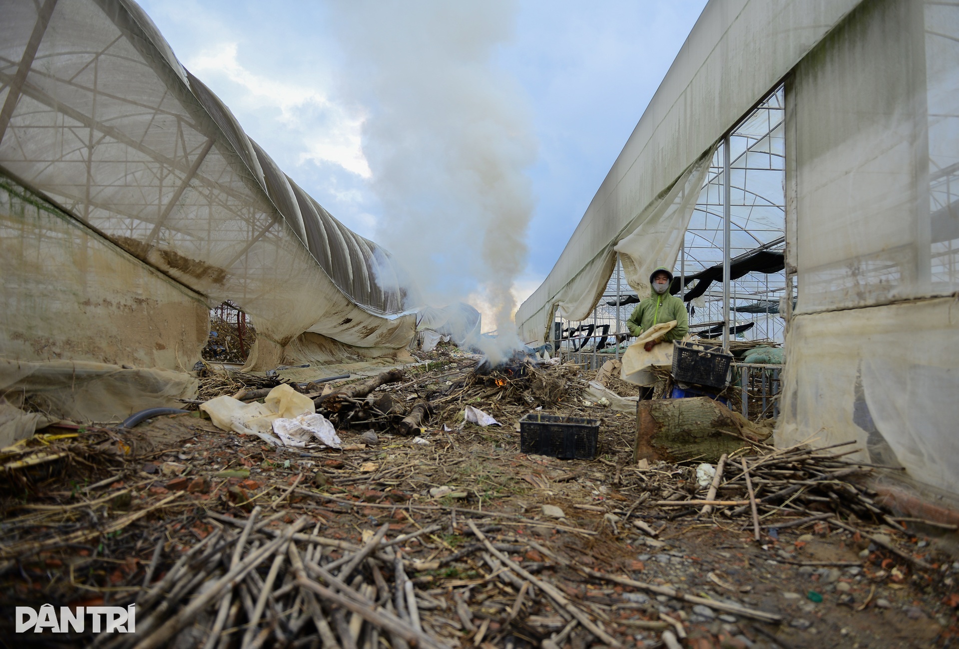 Lũ lịch sử cuốn phăng “thủ phủ” rau Lâm Đồng, đồng ruộng hoang lạnh - 14 Lũ lịch sử cuốn phăng “thủ phủ” rau Lâm Đồng, đồng ruộng hoang lạnh - 14