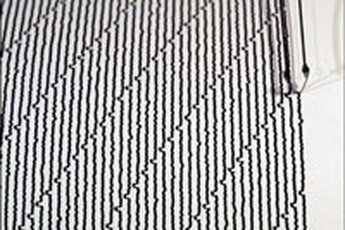 Động đất gây sóng thần cao gần 2m ở Indonesia