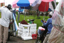 Nho Mỹ... giá chỉ 4.000 đồng/kg!