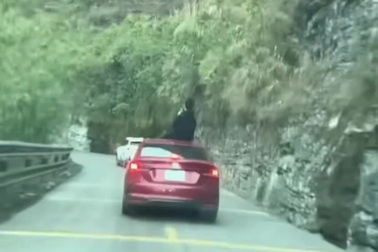 Thanh niên ngồi trên nóc khi ô tô đang chạy trên đường đèo