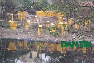 TP. Hà Nội kiểm tra vụ tạo màu miến bằng hóa chất độc hại ở Cự Đà