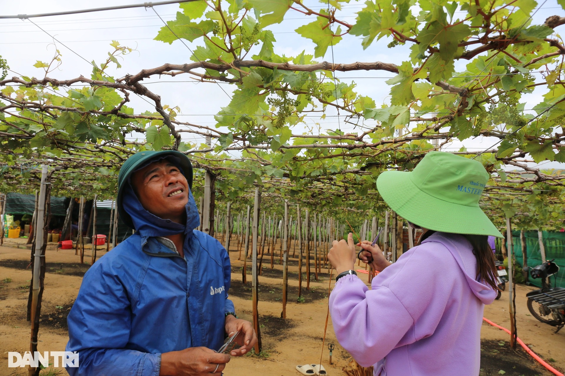 View - Đời sống người dân ở nơi được quy hoạch làm điện hạt nhân tại Ninh Thuận | Báo Dân trí