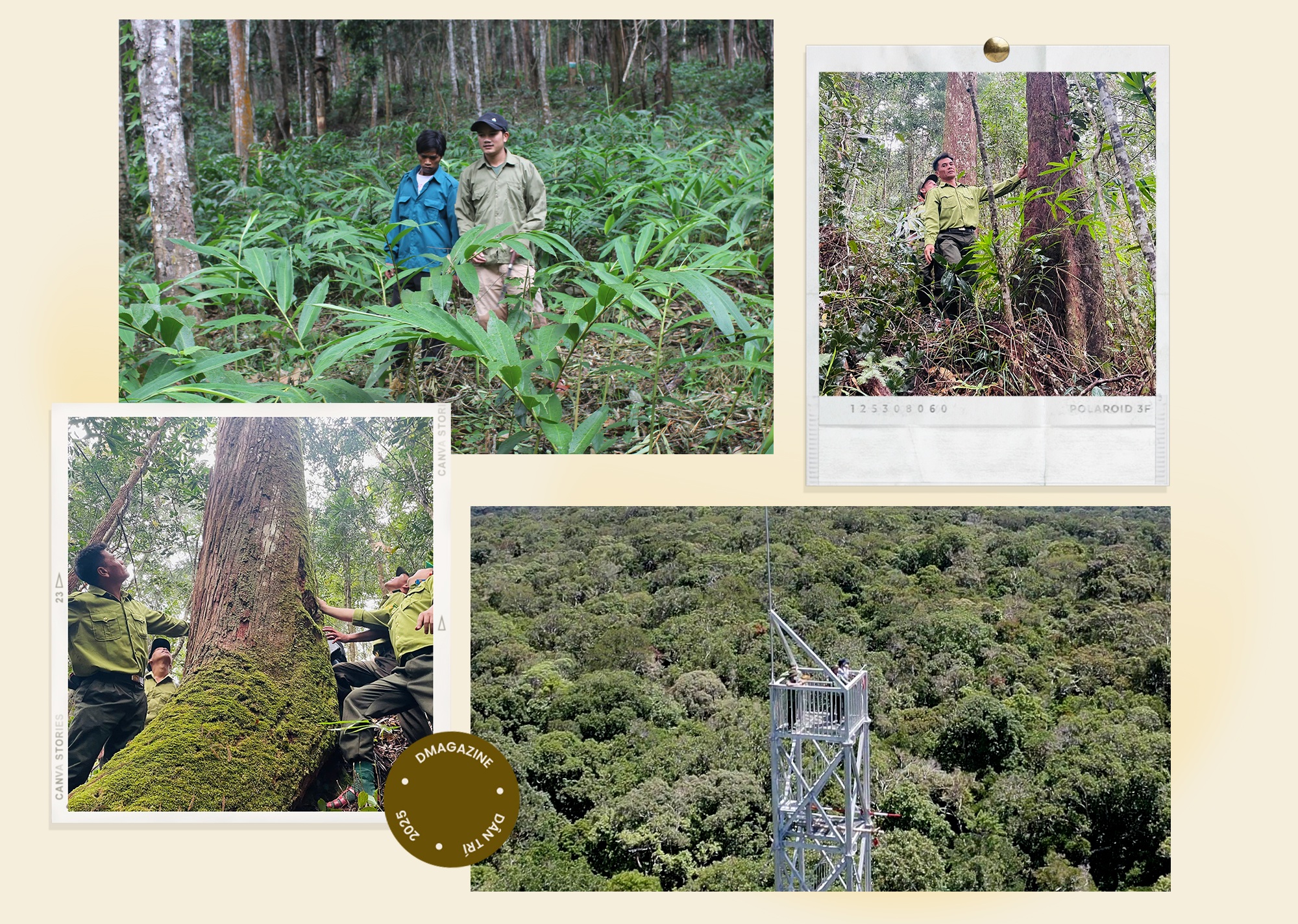 Khu sinh quyển Kon Hà Nừng, “viên ngọc xanh” giữa đại ngàn Tây Nguyên - 17