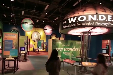 Câu chuyện Olympian Labs