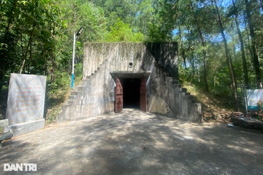 "Địa ngục trần gian" giữa khu rừng ở Thừa Thiên Huế