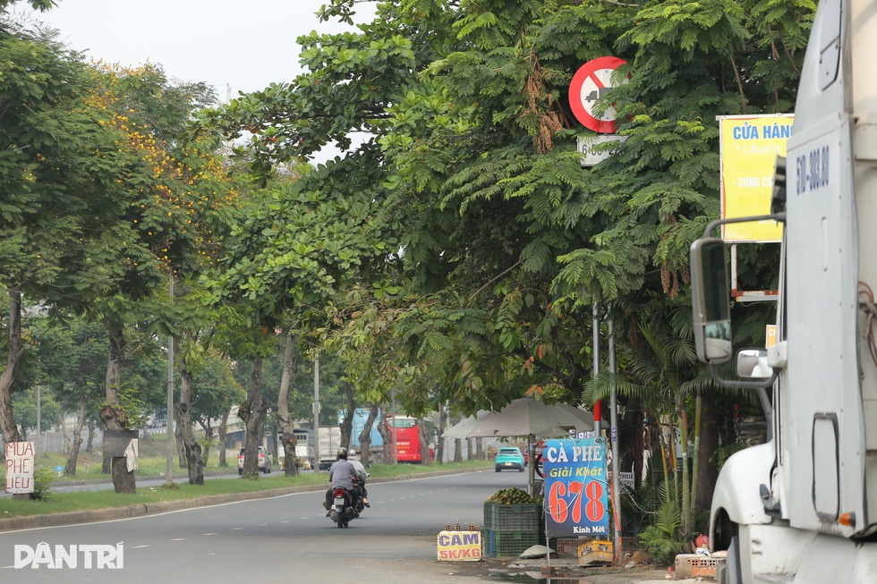 Nhan nhản biển báo núp lùm ở TPHCM gây khó cho tài xế - 4 Nhan nhản biển báo núp lùm ở TPHCM gây khó cho tài xế - 4