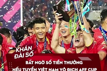 Bất ngờ số tiền thưởng nếu tuyển Việt Nam vô địch AFF Cup