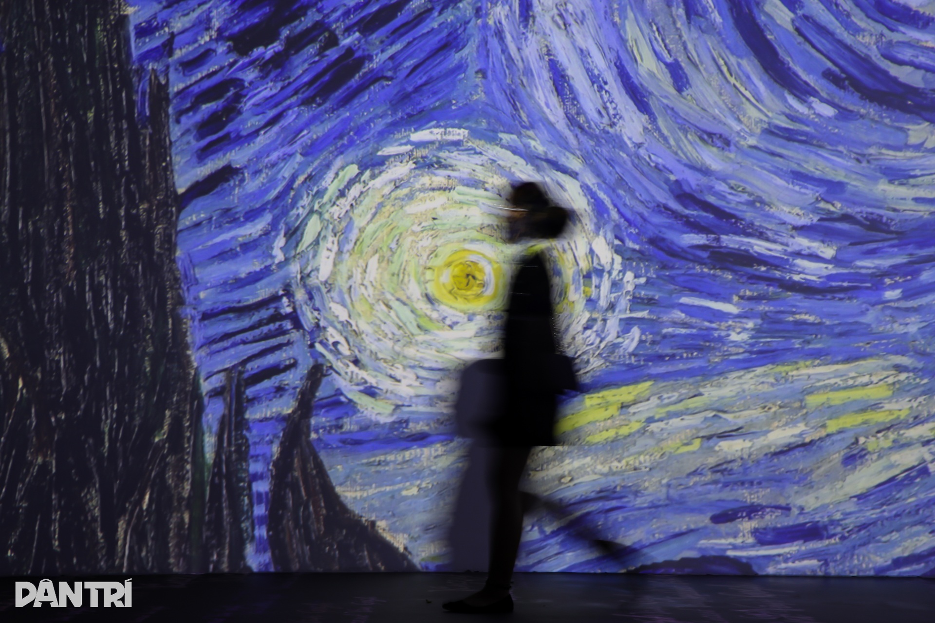 Đắm chìm trong không gian nghệ thuật đa giác quan của danh họa Van Gogh - 13 Đắm chìm trong không gian nghệ thuật đa giác quan của danh họa Van Gogh - 13