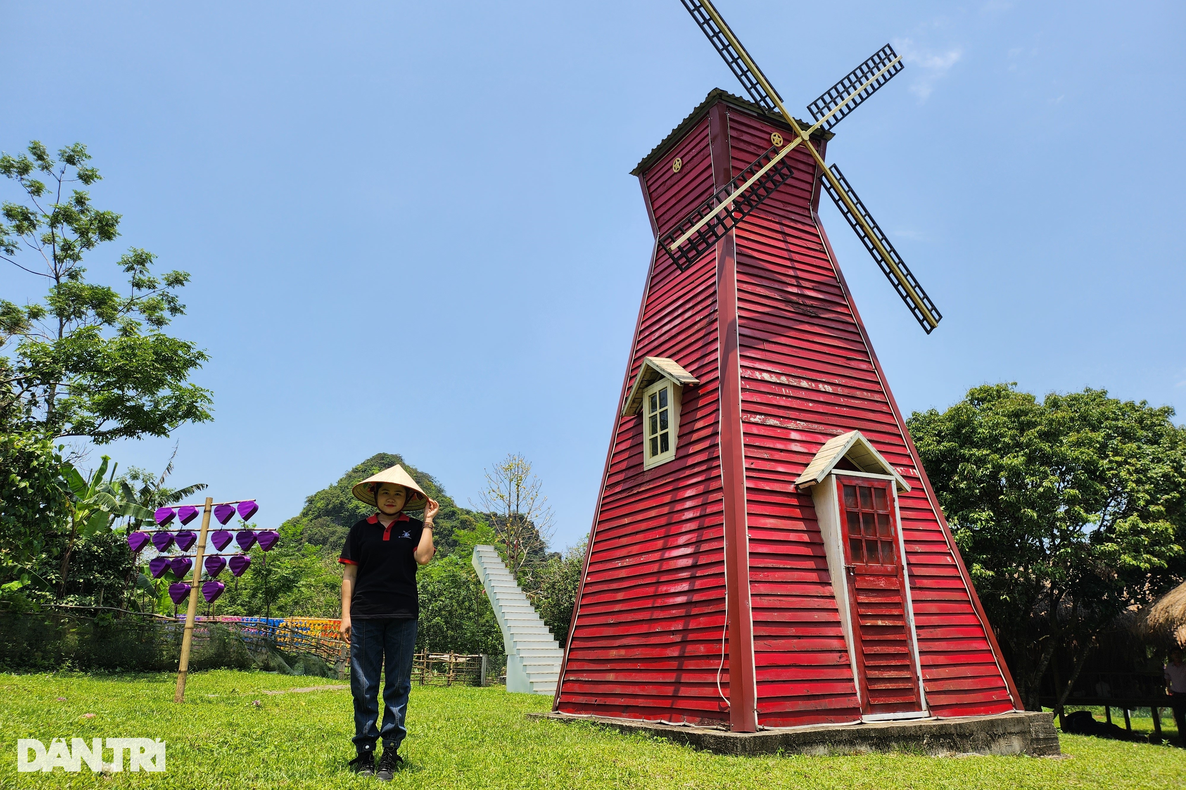 Biến vườn hoang thành điểm check in vạn người mê, 9X thu nửa tỷ đồng - 1 Biến vườn hoang thành điểm check in vạn người mê, 9X thu nửa tỷ đồng - 1