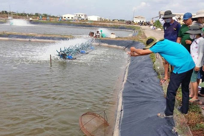 Những năm gần đây, nghề nuôi trồng thuỷ sản tạo nhiều việc làm, cải thiện thu nhập cho lao động ngành thủy sản.