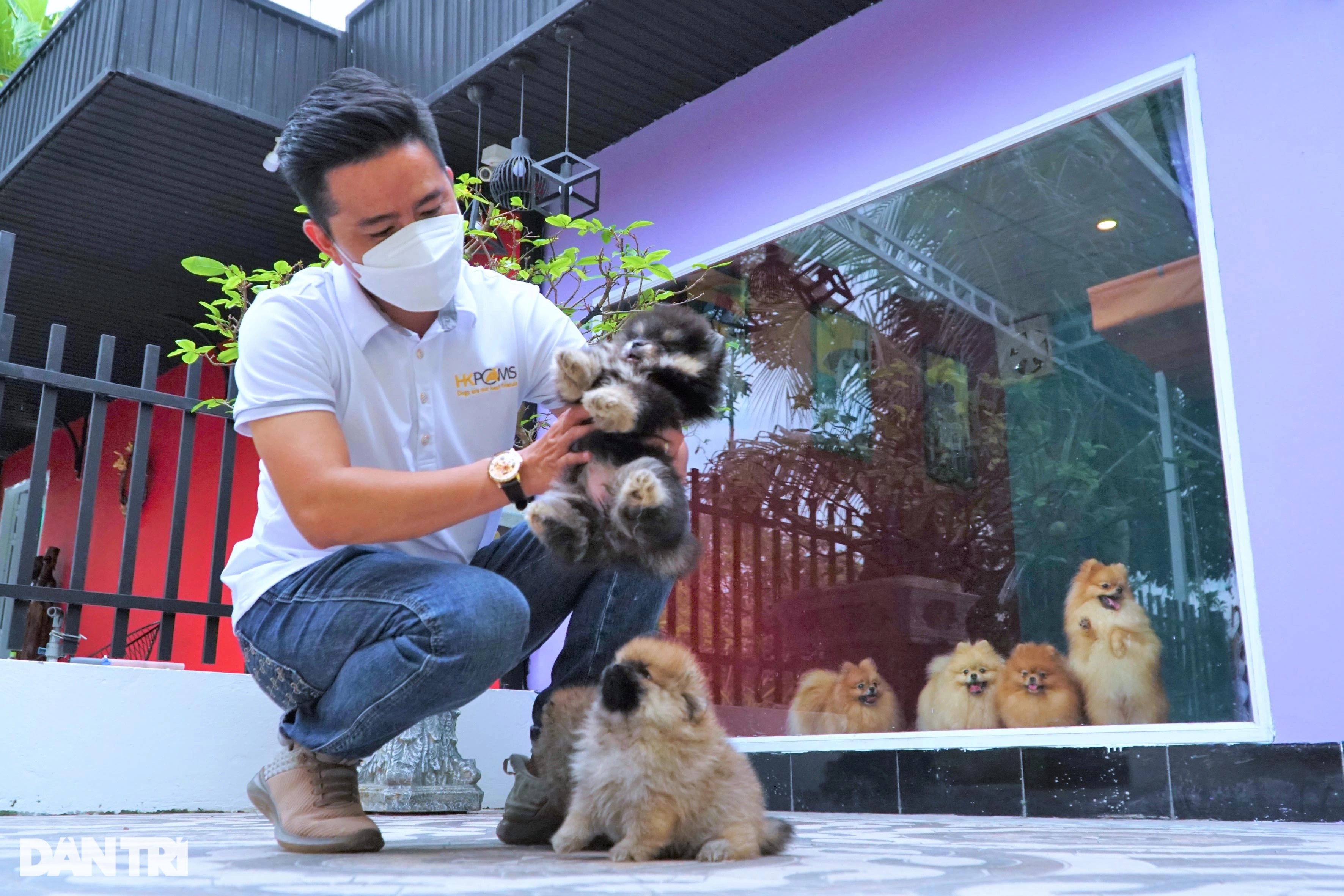 Nuôi chó hoàng gia ngủ máy lạnh, ăn đậu nhập từ Pháp, 8x lãi khủng - 4