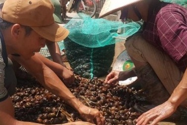 Ninh Bình: Những phận đời vật vã mưu sinh dưới nắng nóng 40ºC