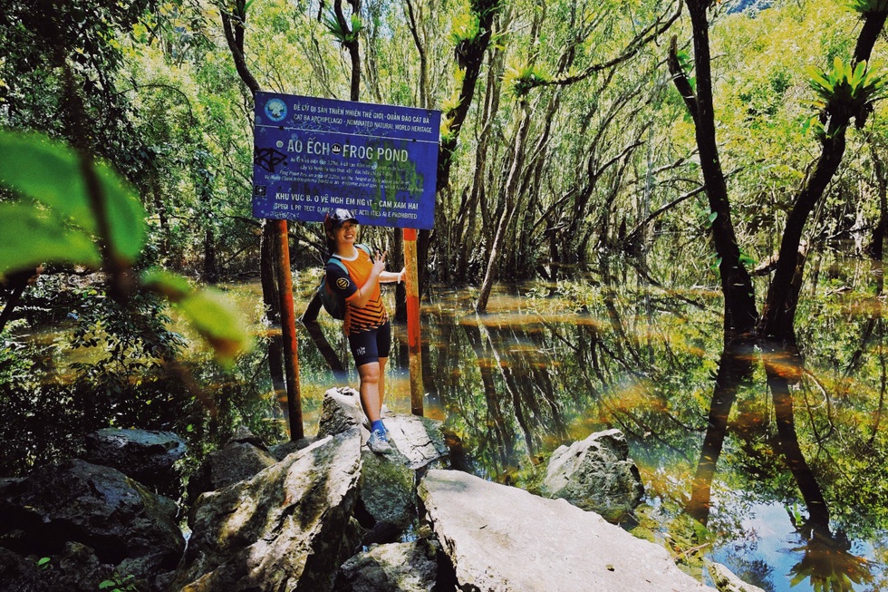 Cung đường trekking dài 9km vào rừng nguyên sinh đẹp bình yên ở Hải Phòng - 4 Cung đường trekking dài 9km vào rừng nguyên sinh đẹp bình yên ở Hải Phòng - 4